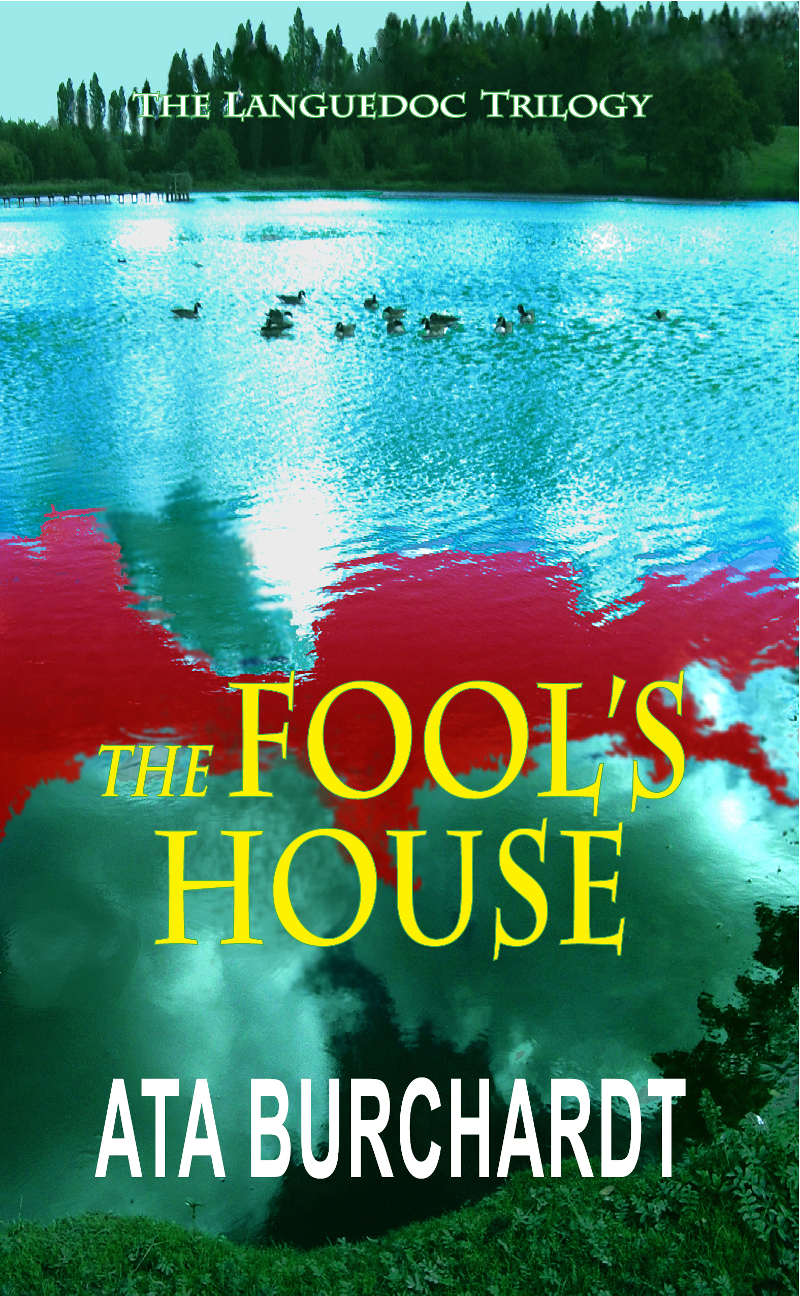 Fool's House FRONT COVER with bleeds.22 nov indd