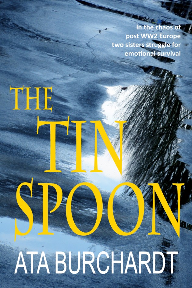 TIN SPOON ICE COVER 3 JPG