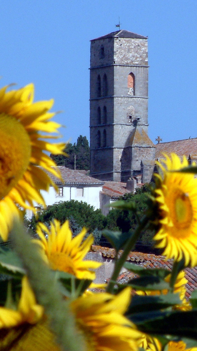 FRENCH SUNFLOWERS CHURCH pic